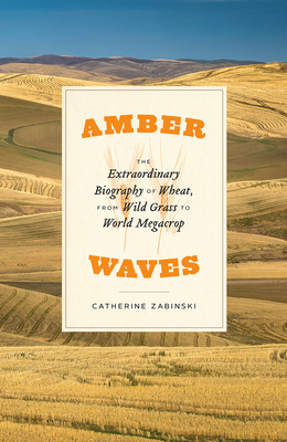 Amber Waves: The Extraordinary Biography of Wheat, from Wild Grass to World Megacrop Cover Image