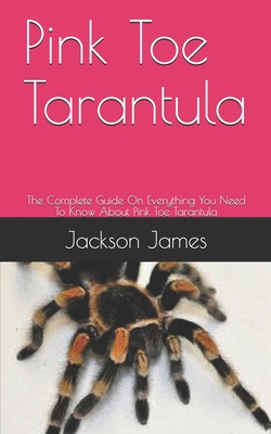 Pink Toe Tarantula: The Complete Guide On Everything You Need To