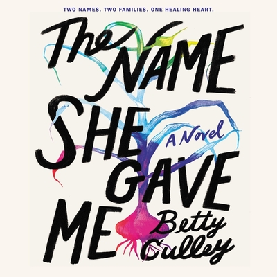 The Name She Gave Me By Betty Culley, Ariana Delawari (Read by), Lisa Cordileone (Read by) Cover Image