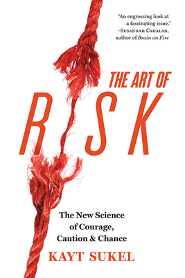 Cover for The Art of Risk
