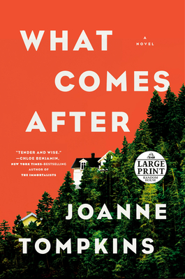 What Comes After: A Novel By JoAnne Tompkins Cover Image