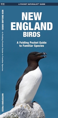 New England Birds: A Folding Pocket Guide to Familiar Species Cover Image