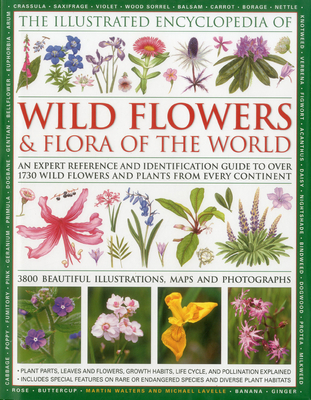 Illustrated Encyclopedia of Wild Flowers & Flora of the World By Michael Lavelle, Martin Walters Cover Image