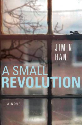 Cover for A Small Revolution