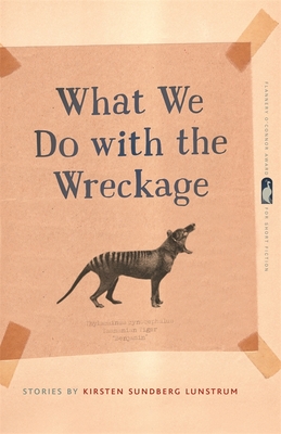 Cover for What We Do with the Wreckage