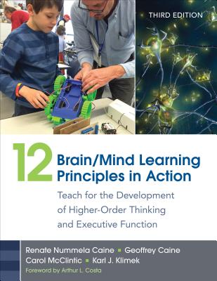 12 Brain/Mind Learning Principles in Action: Teach for the Development of Higher-Order Thinking and Executive Function Cover Image