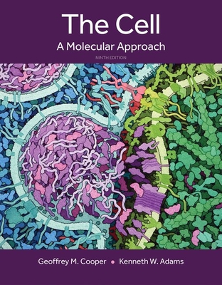 The Cell: A Molecular Approach By Geoffrey Cooper, Kenneth Adams Cover Image