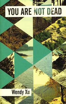 Cover for You Are Not Dead (Cleveland State University Poetry Center New Poetry)
