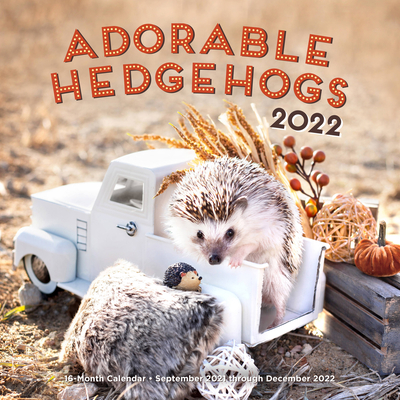 Adorable Hedgehogs 2022: 16-Month Calendar - September 2021 through December 2022 Cover Image