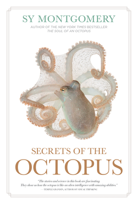 Otto the Shy Octopus - Sawan Books