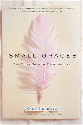 Small Graces: A Celebration of the Ordinary: Sacred Moments That Illuminate Our Lives (Quiet Gifts of Everyday Life)