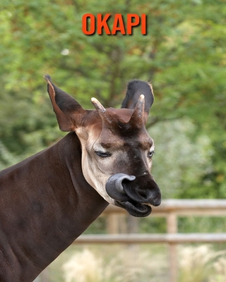 Okapi: Amazing Facts about Okapi Cover Image