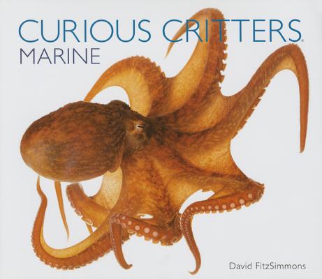 Curious Critters Marine