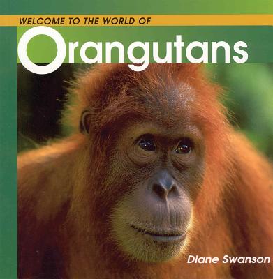 Welcome to the World of Orangutans By Diane Swanson Cover Image
