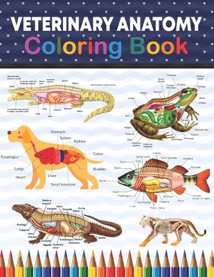 Veterinary Anatomy Coloring Book: Veterinary Anatomy Coloring and Activity Book for Boys & Girls. Medical Anatomy Coloring Book for kids Boys and Girl Cover Image