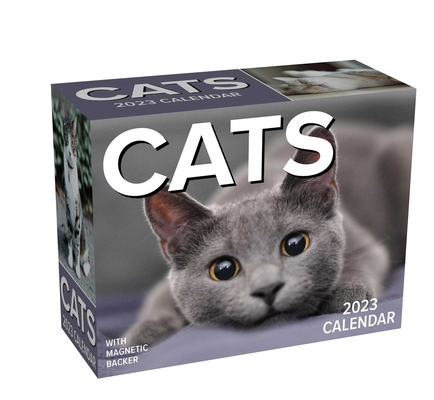 Cats 2023 Mini Day-to-Day Calendar Cover Image