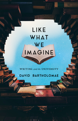 Like What We Imagine: Writing and the University (Composition, Literacy, and Culture) Cover Image