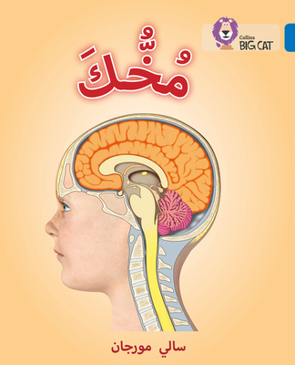 Collins Big Cat Arabic – Your Brain: Level 16