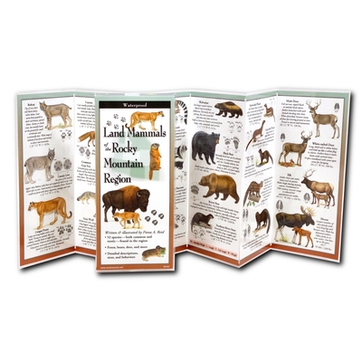 Land Mammals of the Rocky Mountain Region Cover Image
