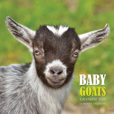 Baby Goats Calendar 2020: 16 Month Calendar