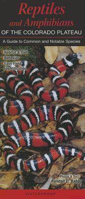 Reptiles and Amphibians of the Colorado Plateau: A Guide to Common & Notable Species