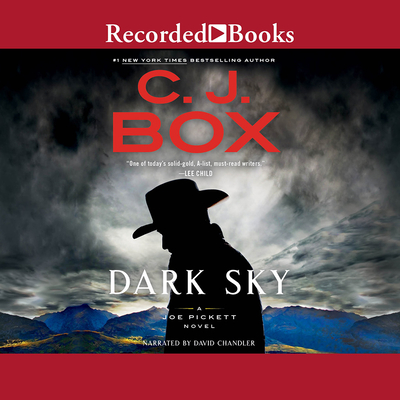 Dark Sky (Joe Pickett #21) Cover Image