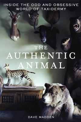 The Authentic Animal: Inside the Odd and Obsessive World of Taxidermy By Dave Madden Cover Image