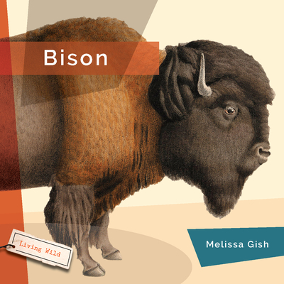 Bison Cover Image