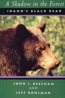 A Shadow in the Forest: Idaho's Black Bear (Northwest Naturalist Books) Cover Image