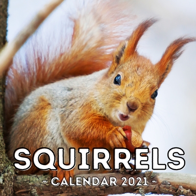 Squirrels Calendar 2021: 16-Month Calendar, Cute Gift Idea For Squirrels Lovers Women & Men By Careful Potato Press Cover Image