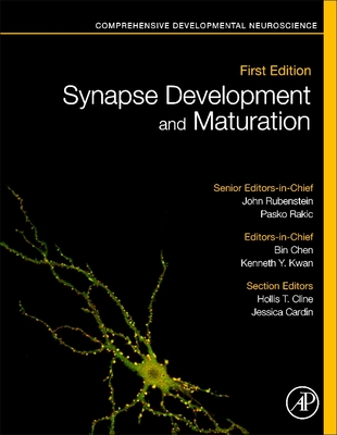Synapse Development and Maturation: Comprehensive Developmental Neuroscience Cover Image