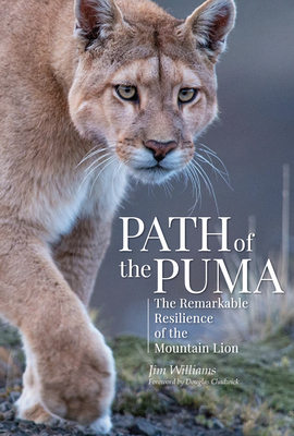 Path of the Puma: The Remarkable Resilience of the Mountain Lion By Jim Williams, Joe Glickman (With), Douglas Chadwick (Foreword by) Cover Image