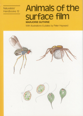 Animals of the surface film (Naturalists' Handbook) By Marjorie Guthrie, Peter J. Hayward (Calligrapher) Cover Image