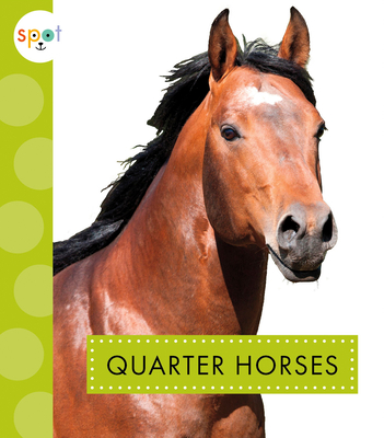 Quarter Horses (Spot Horses) By Alissa Thielges Cover Image