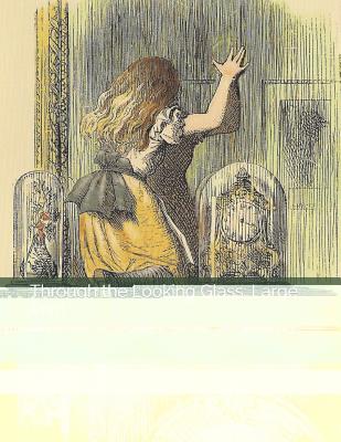 Through the Looking Glass