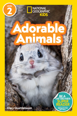 Find It! Explore It! Animals by National Geographic Kids: 9781426375781 |  : Books