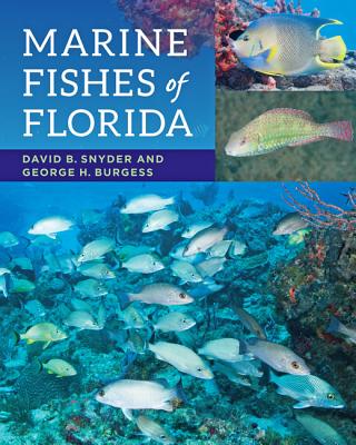 Marine Fishes of Florida By David B. Snyder, George H. Burgess Cover Image