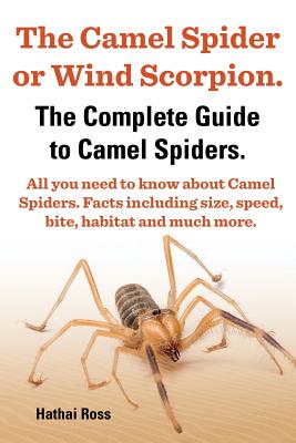 The Camel Spider or Wind Scorpion. the Complete Guide to Camel Spiders. All You Need to Know about Camel Spiders. Facts Including Size, Speed, Bite an By Hathai Ross Cover Image