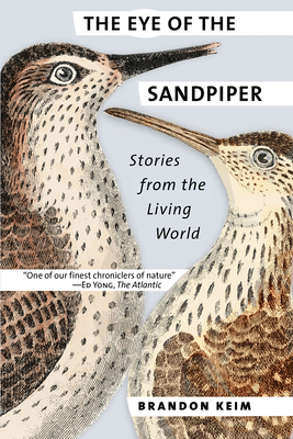 The Eye of the Sandpiper: Stories from the Living World By Brandon Keim Cover Image