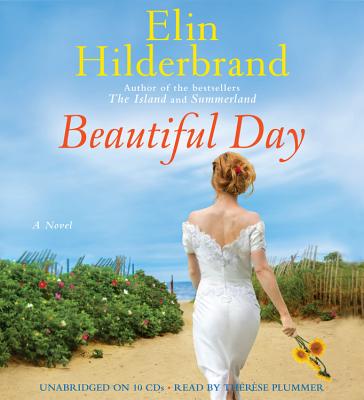 Beautiful Day: A Novel By Elin Hilderbrand, Therese Plummer (Read by) Cover Image