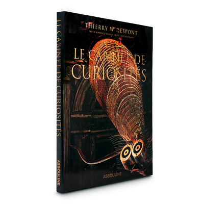 Cabinet de Curiosites (Trade) Cover Image