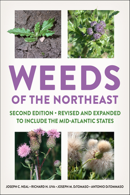 Weeds of the Northeast By Joseph C. Neal, Richard H. Uva, Joseph M. Ditomaso Cover Image