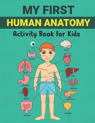 human body drawing for kids