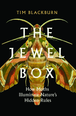 The Jewel Box: How Moths Illuminate Nature’s Hidden Rules
