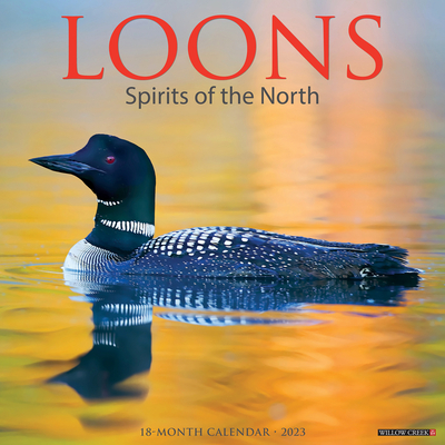 Loons 2023 Wall Calendar By Willow Creek Press Cover Image