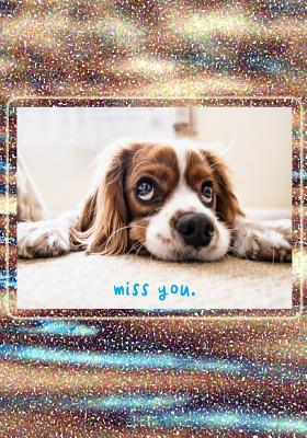 miss you: 7x10 puppy with sad eyes: wide ruled notebook for camp vacation school travel Cover Image