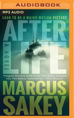 Cover for Afterlife