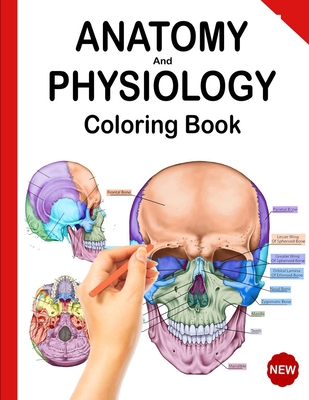 Download Anatomy And Physiology Coloring Book Netter S Anatomy Coloring Book And Human Body Workbook Updated Edition Paperback University Press Books Berkeley