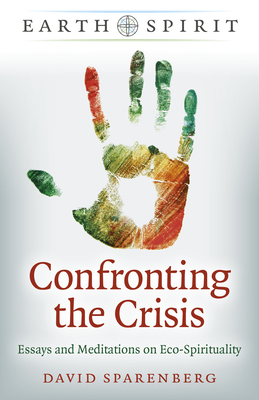 Cover for Confronting the Crisis