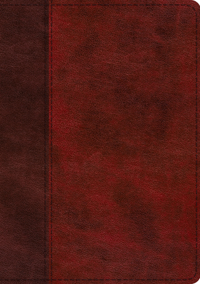 ESV Single Column Journaling Bible, Large Print (Trutone, Burgundy/Red, Timeless Design) Cover Image